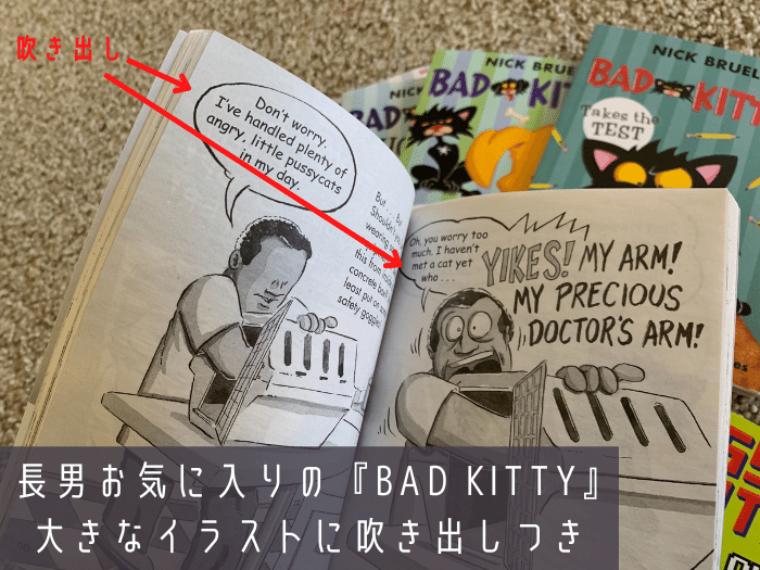 チャプターブック13冊セット (バラ売り不可) - 洋書